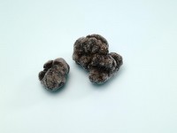 Himalayan Truffle Himalayan Truffle