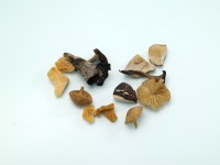 Mixed Luxe Forest Mushrooms Mixed Luxe Forest Mushrooms