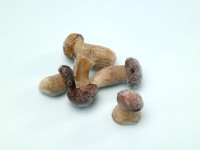 Porcini Bouchons 2-4cm Porcini Bouchons 2-4cm