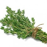 Fresh Thyme Herb Fresh Thyme Herb